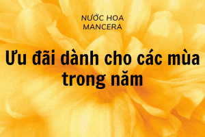 Các ưu đãi dành cho 4 mùa